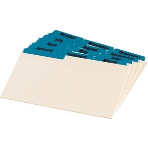NWT Oxford Monthly Filing Index Cards